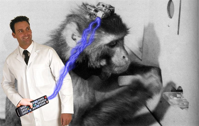 2017-12-08-monkey-zap